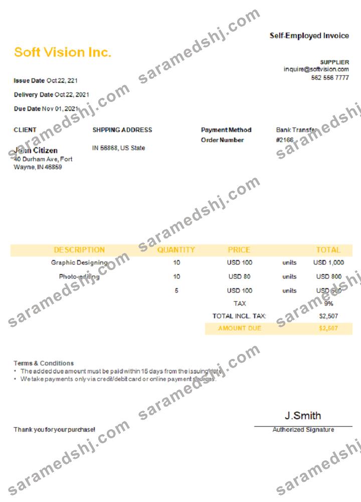 USA Soft Vision Inc. invoice
